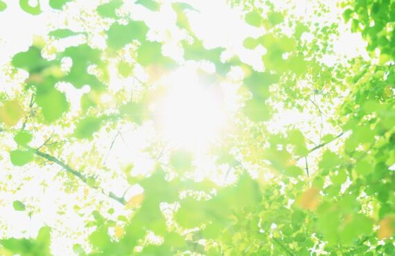 千葉県で新築